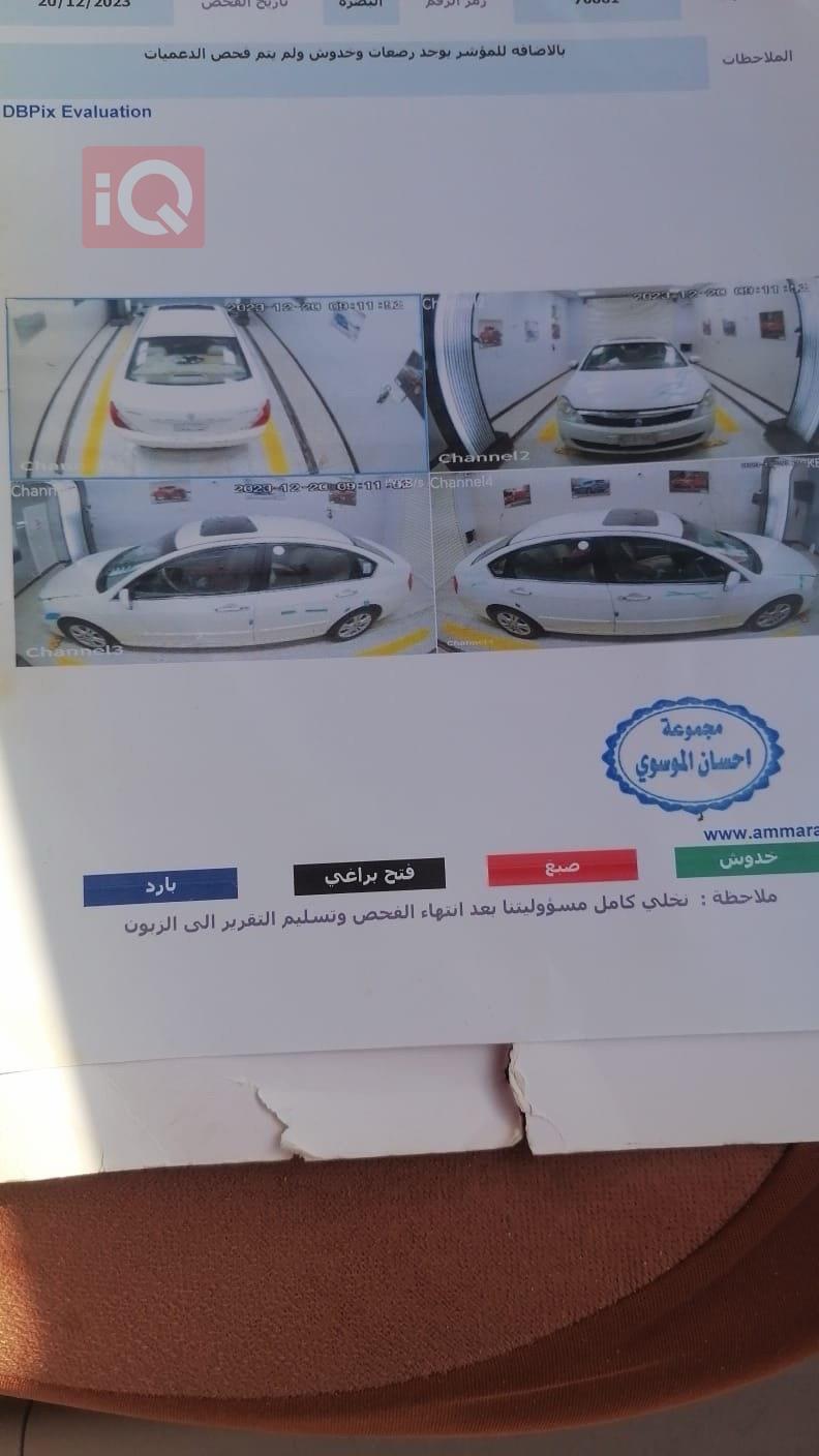 رينو سافران